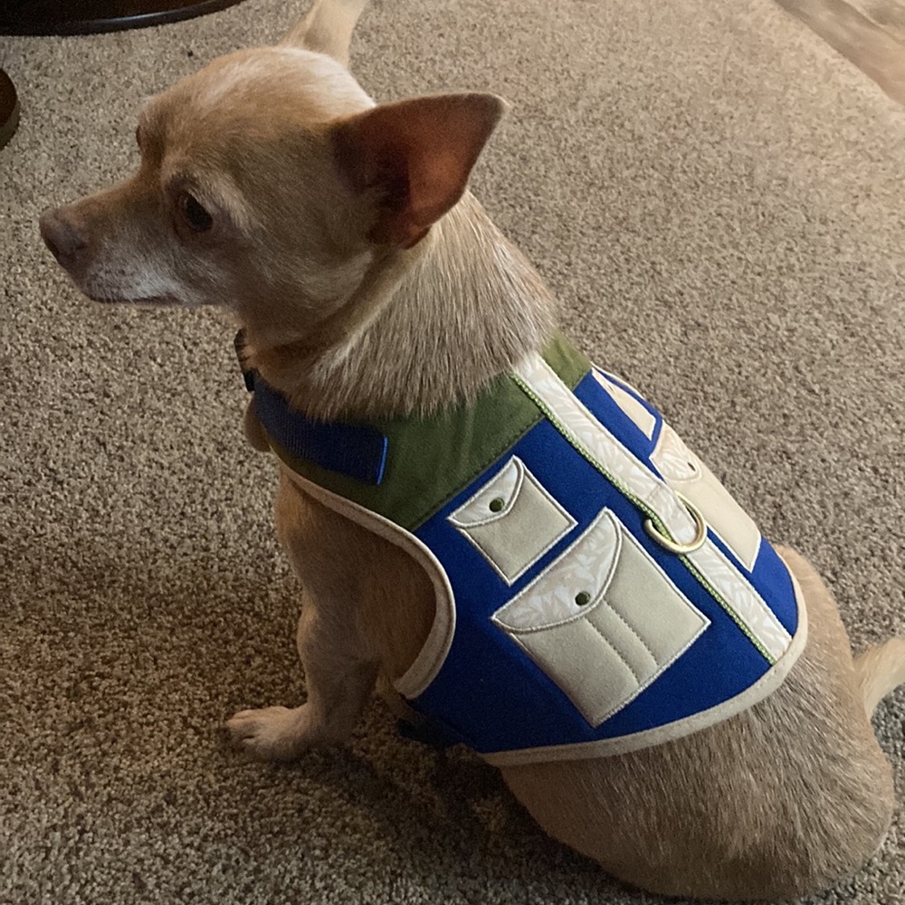 CUTEST Safari Harness NWOT